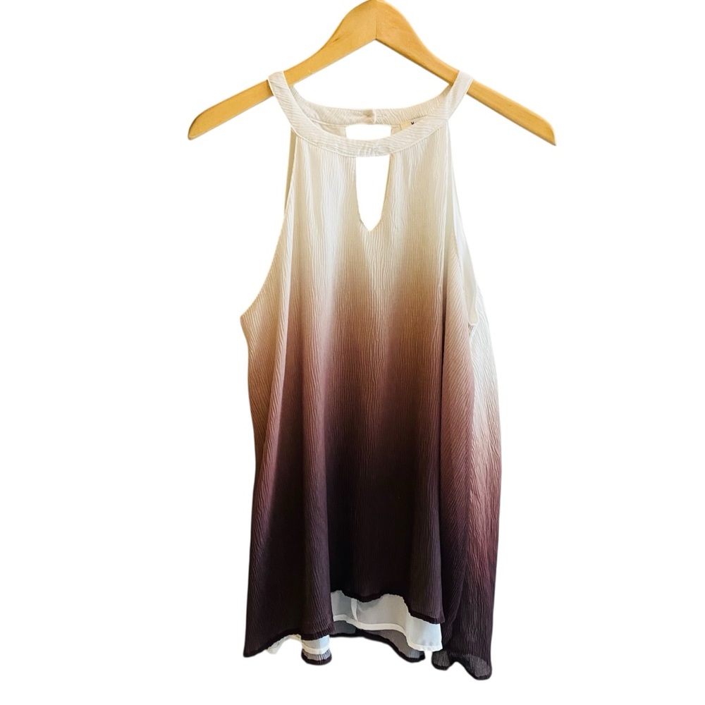 HAYDEN Brown Cream Ombre Y2K Long Line Top / Mini Dress